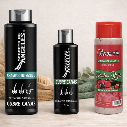 SHAMPO CANAS SECRETOX 1UN+2OBSEQ